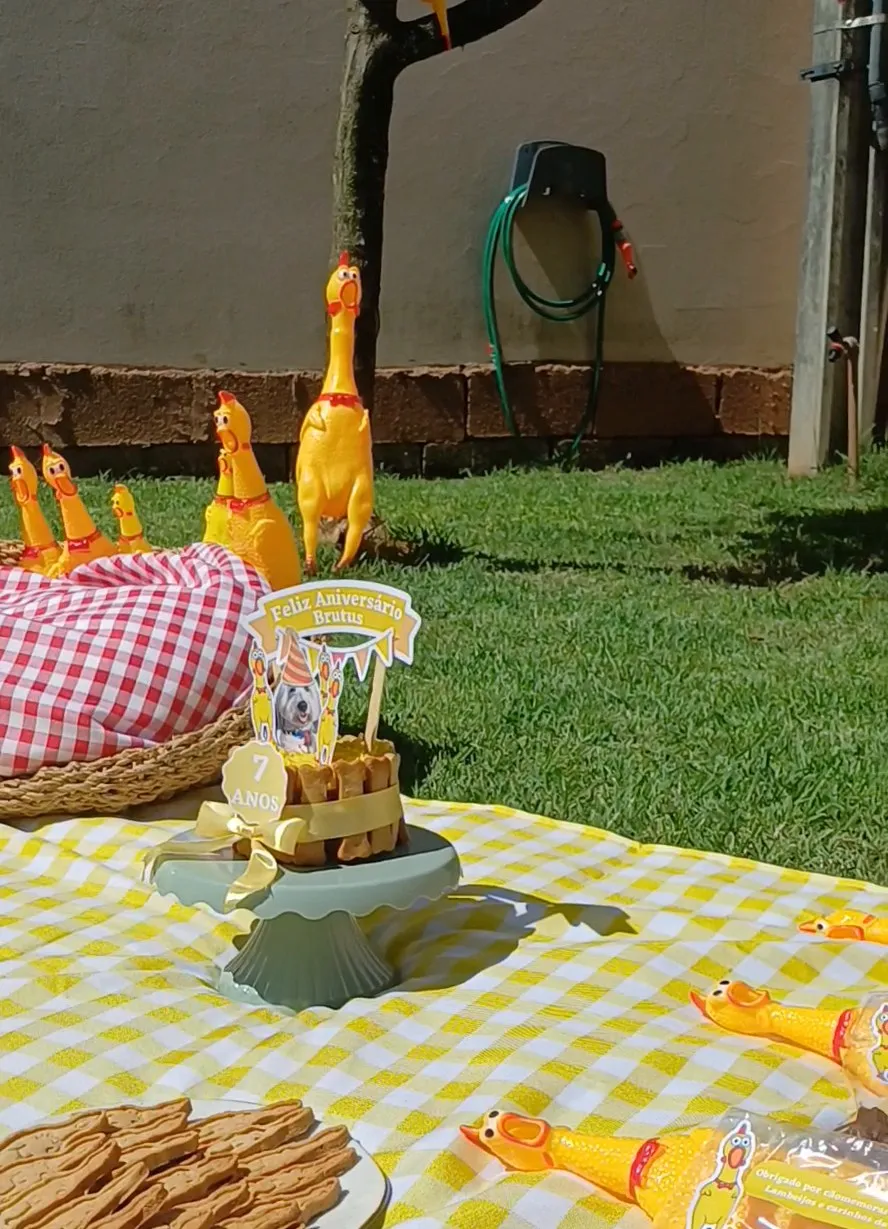 Mesa de festa montada no gramado com biscoitos e docinhos