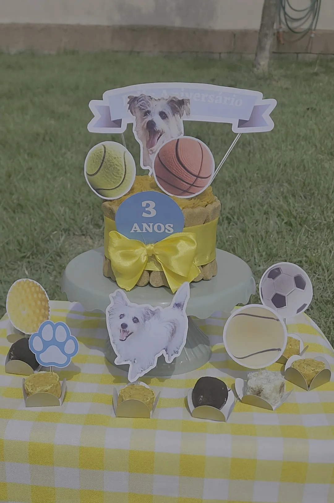 Mesa de aniversário com bolo, docinhos e enfeites no gramado