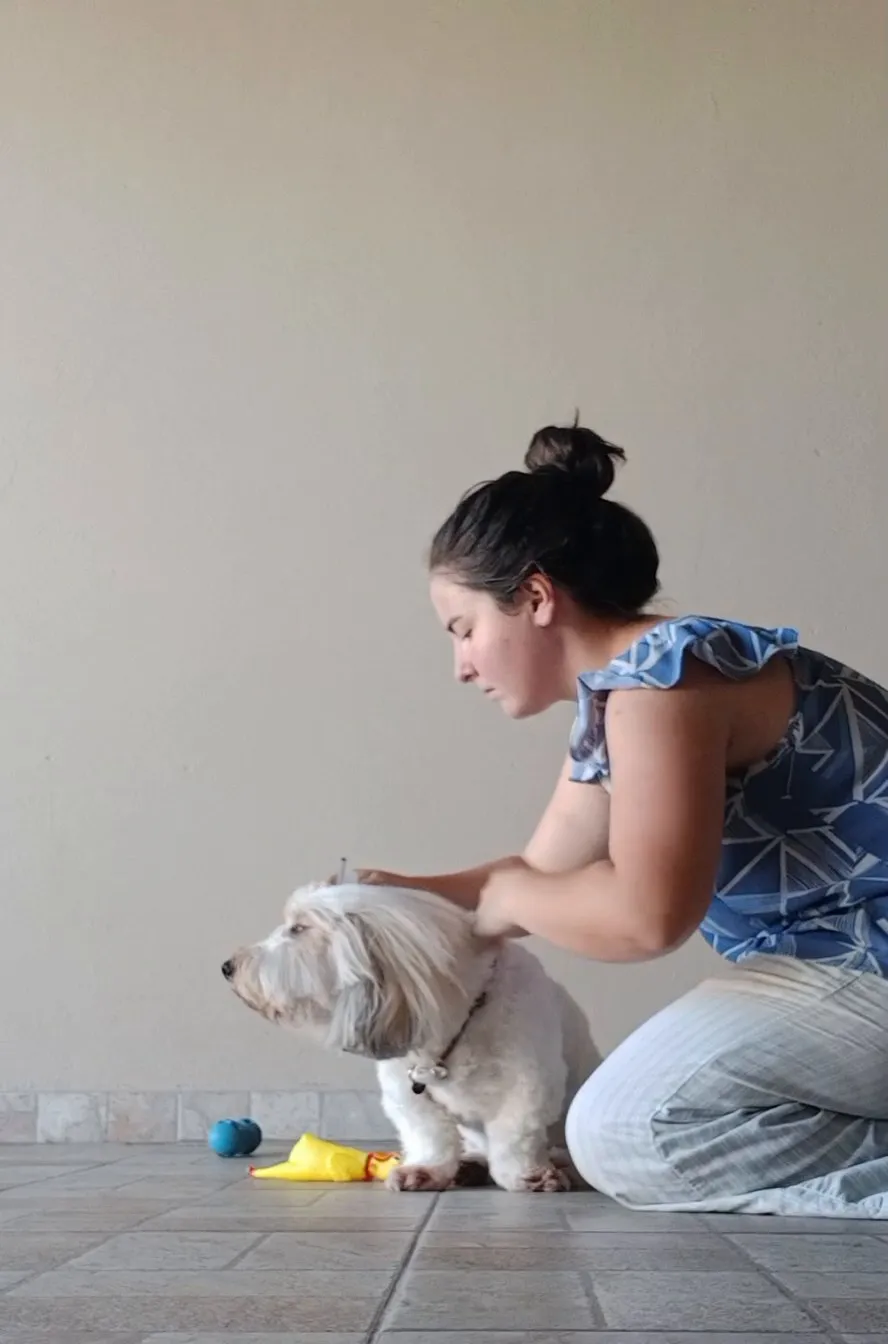 Fernanda ajoelhada no chão da sala, cuidando de um cão pequeno branco